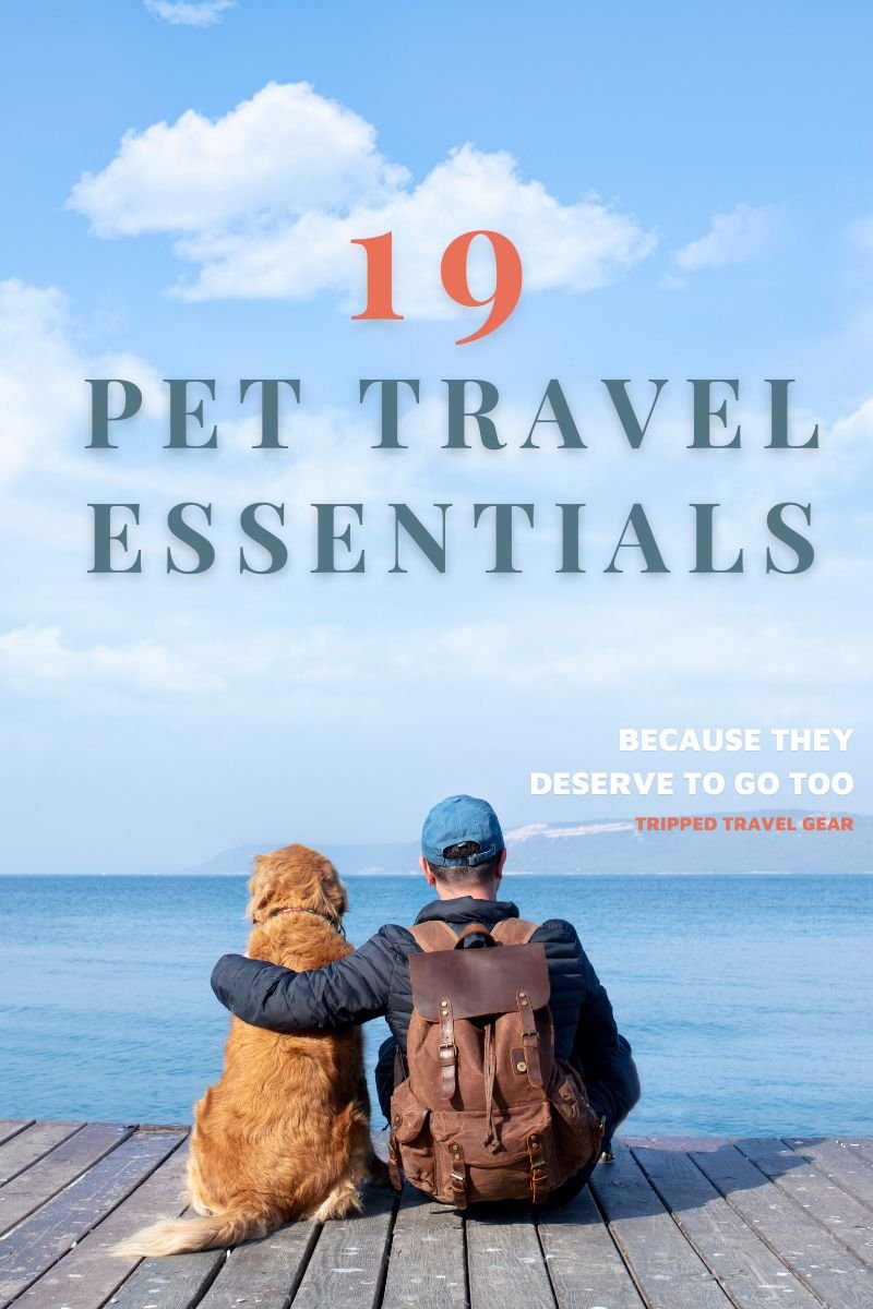 Top 19 Pet Travel Essentials
